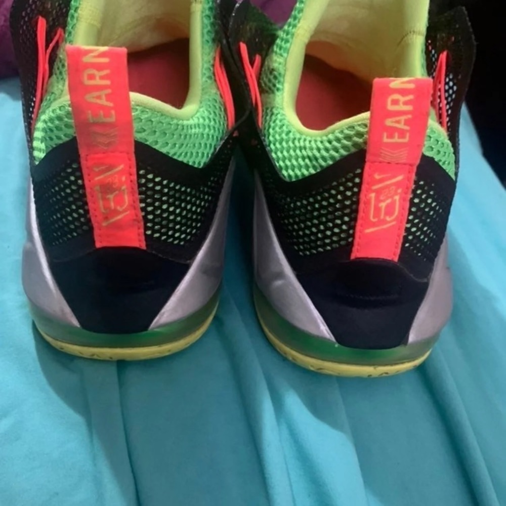 Lebron - Picture 3 of 6
